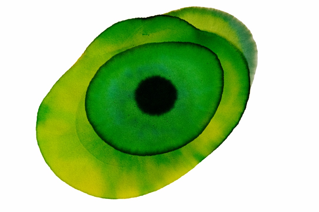 Musterbild 5